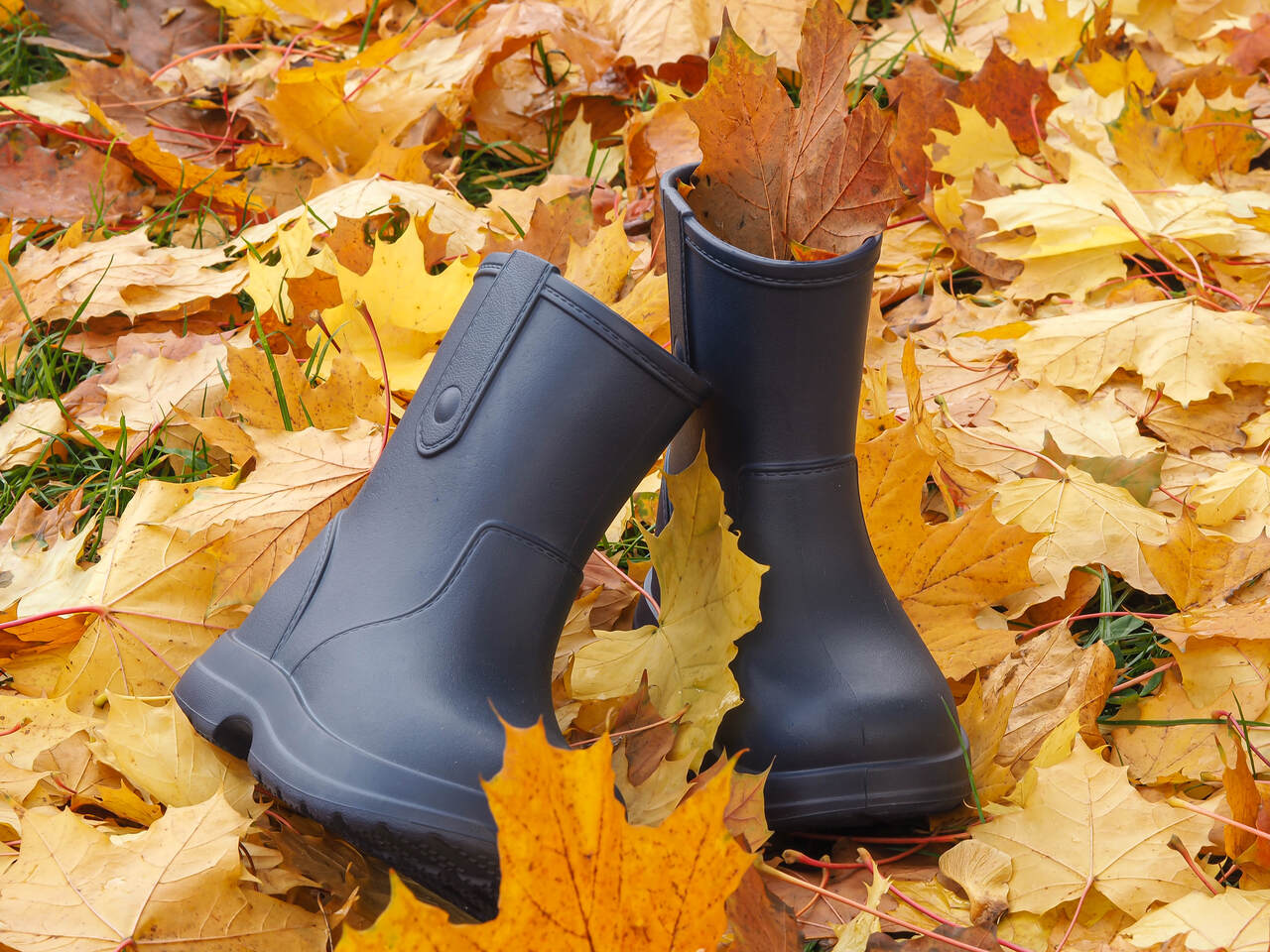 Παιδικές μπότες Bear -   NAVY BLUE Μπλέ Σκούρο